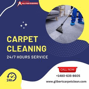 Carpet Cleaning Services in Gilbert,  AZ