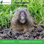 Gopher Control Experts Pest Control Services in San Diego